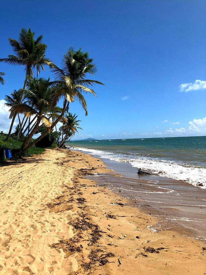 Mariposa Beach House Humacao Εξωτερικό φωτογραφία